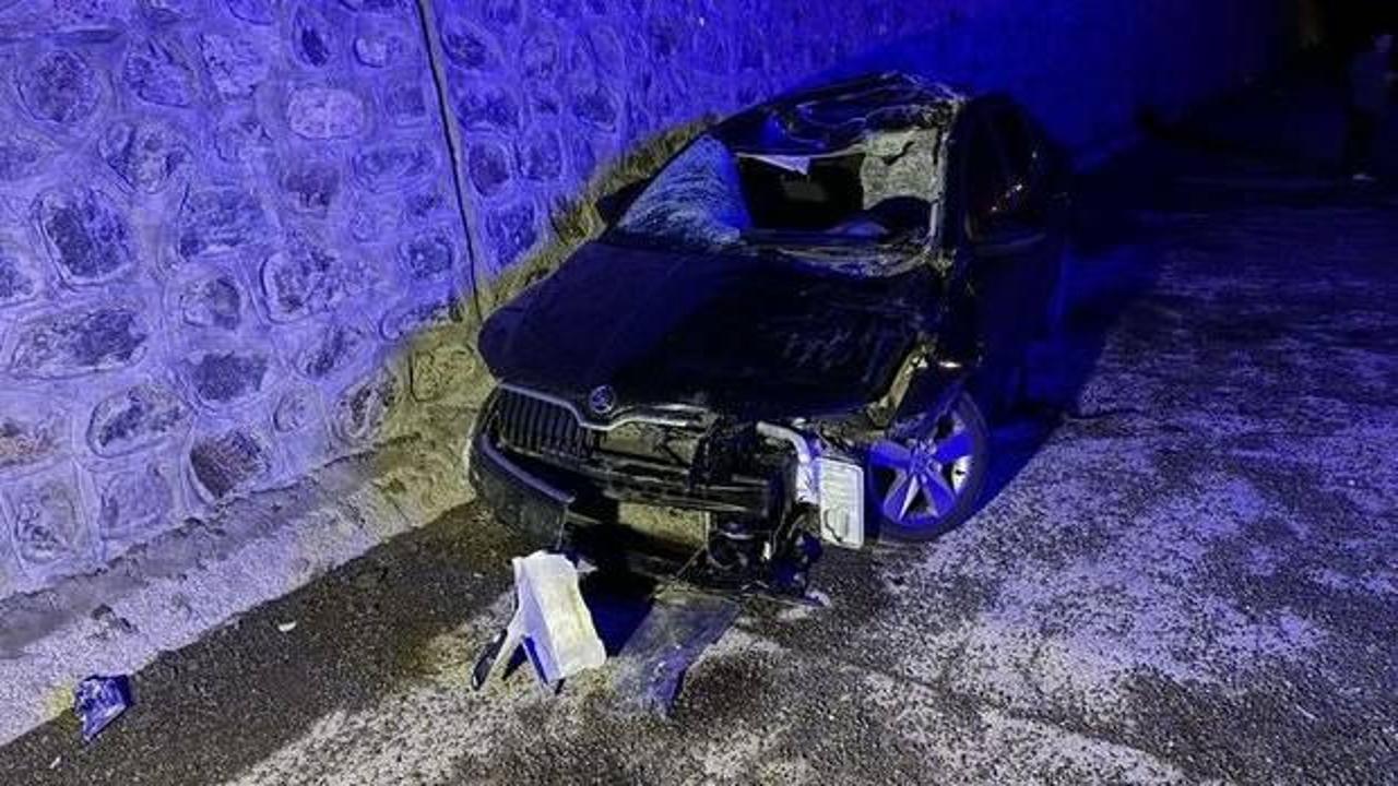 Bingöl'de otomobil ata çarptı: Ölü ve yaralılar var